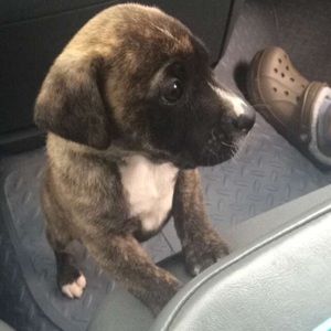 Meet your Posher, Caleb